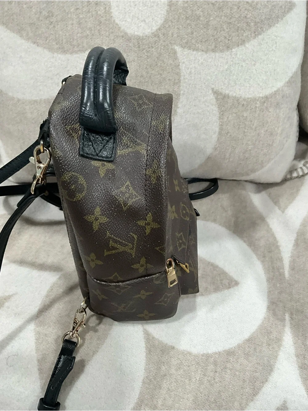 Louis Vuitton Monogram Palm Springs Backpack